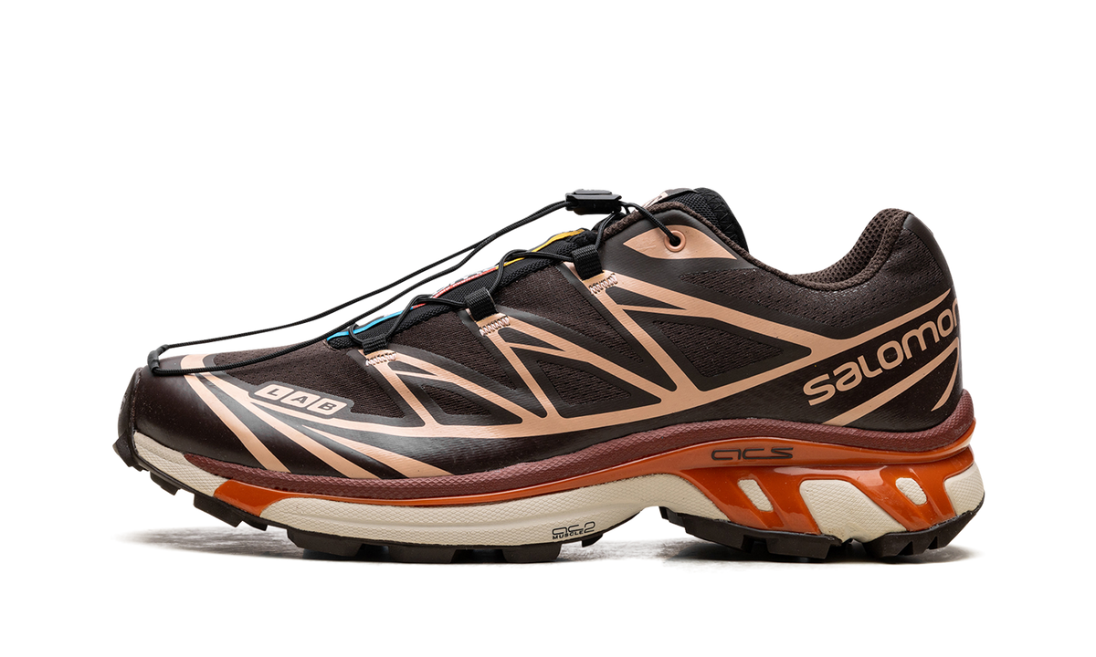 XT-6 "CHOCOLATE PEACH" L41751500