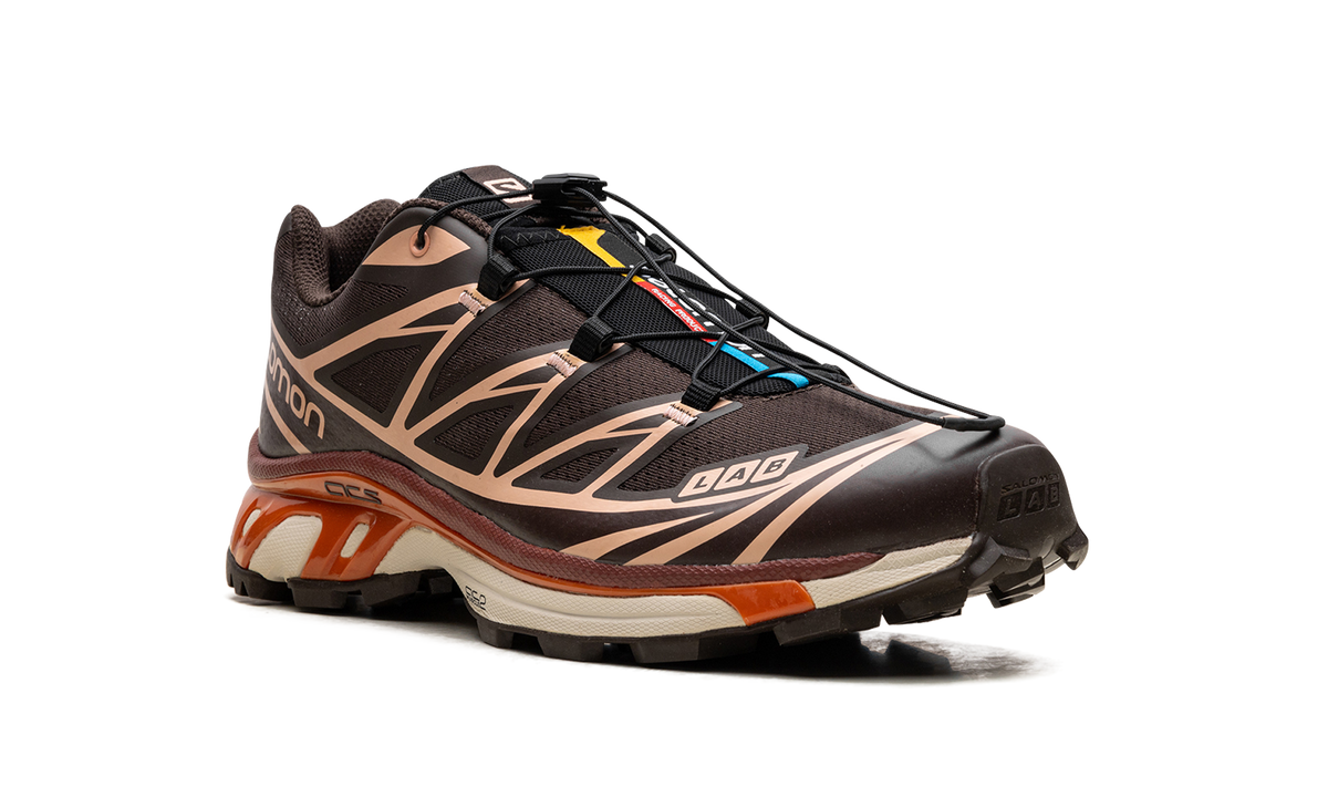 XT-6 "CHOCOLATE PEACH" L41751500
