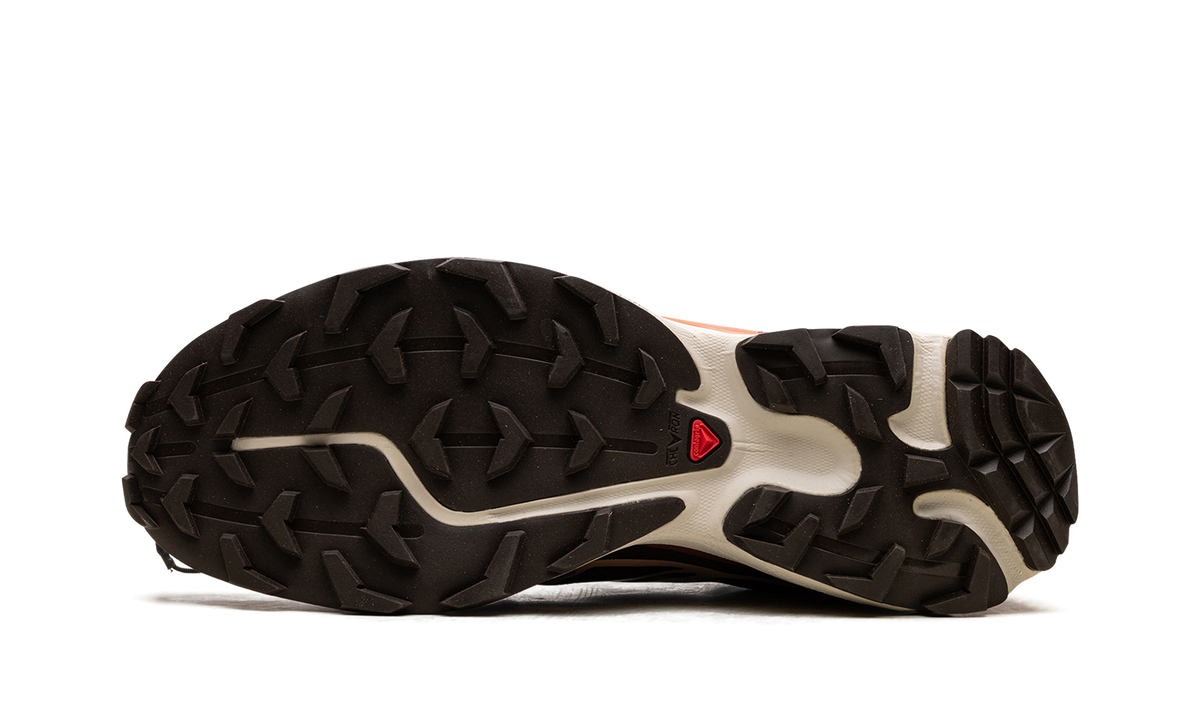 XT-6 "CHOCOLATE PEACH" L41751500