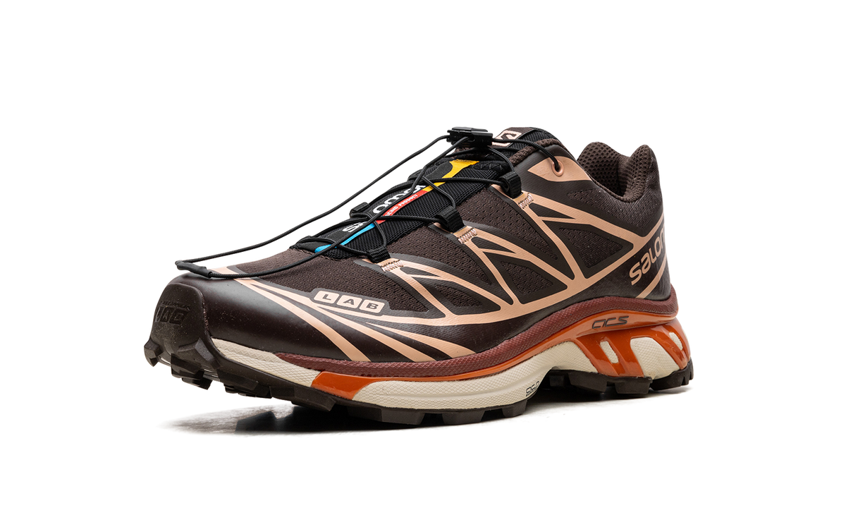 XT-6 "CHOCOLATE PEACH" L41751500