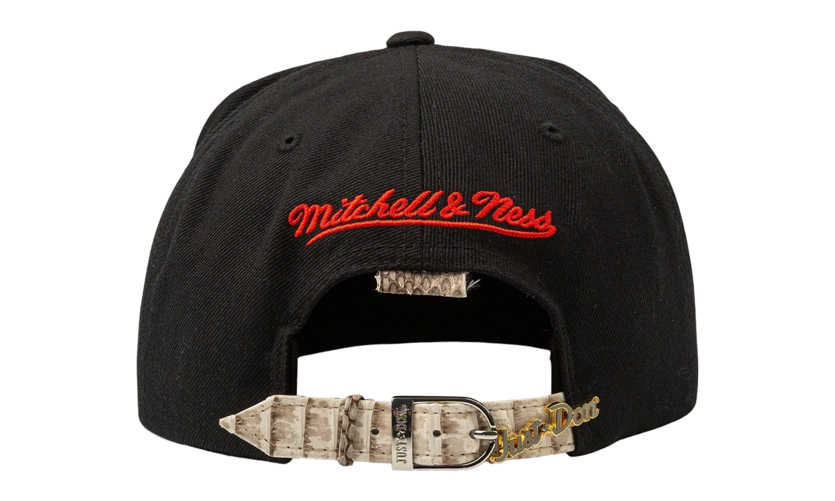 Mitchell & Ness Toronto Raptors Python Snapback Hat "Black Red White Multi" JDMNTRPSHBRWM