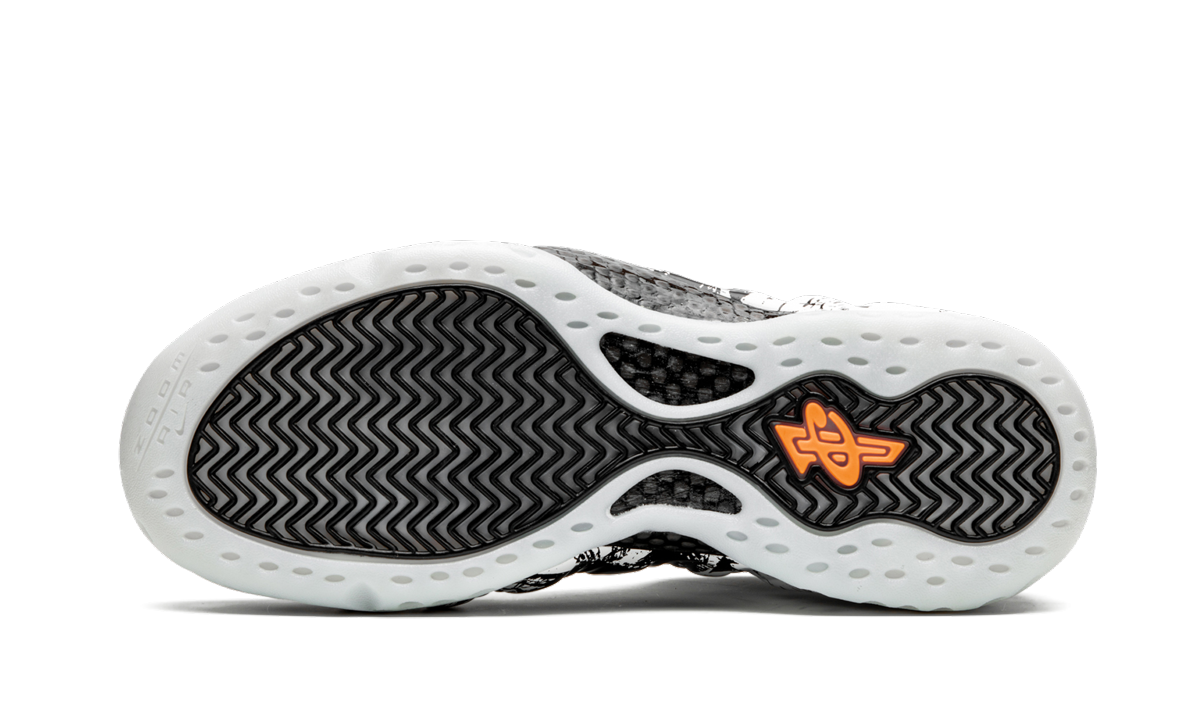 Air Foamposite One "Shattered Backboard" 314996 013