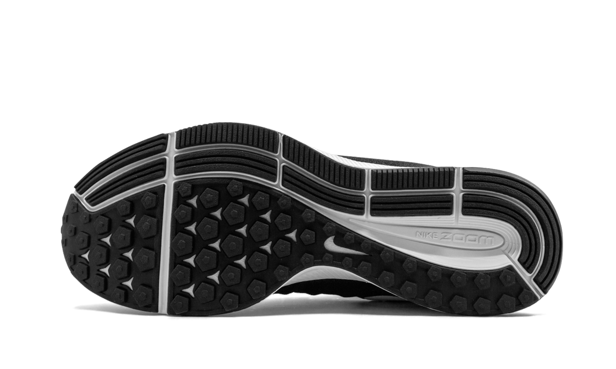 Air Zoom Pegasus 33 "Black White" 831352 001