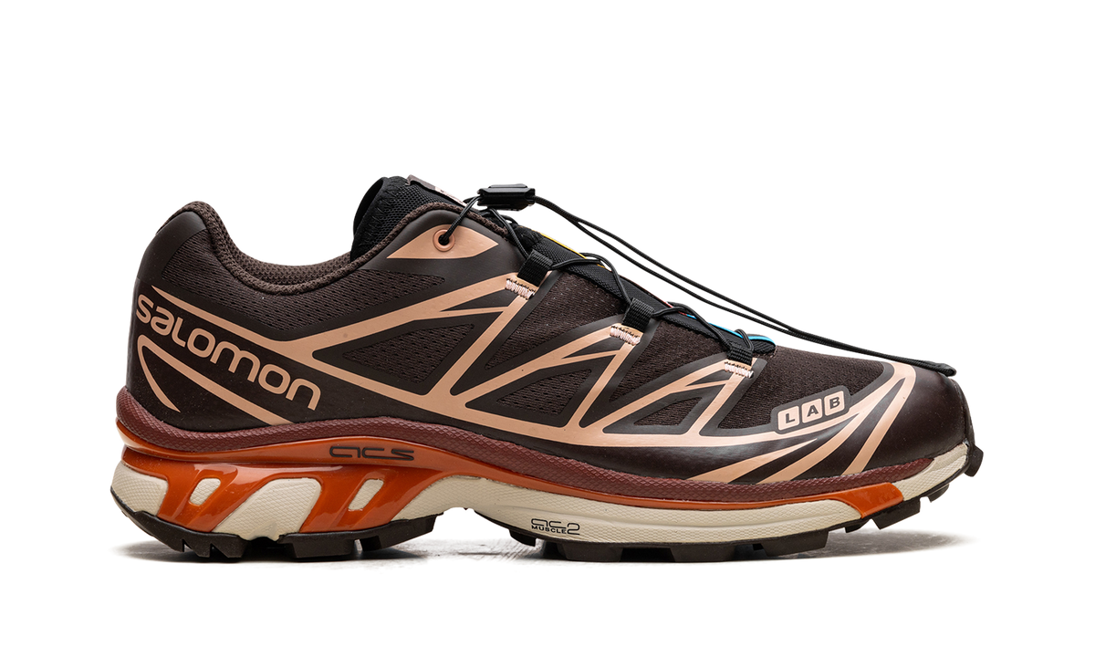 XT-6 "CHOCOLATE PEACH" L41751500