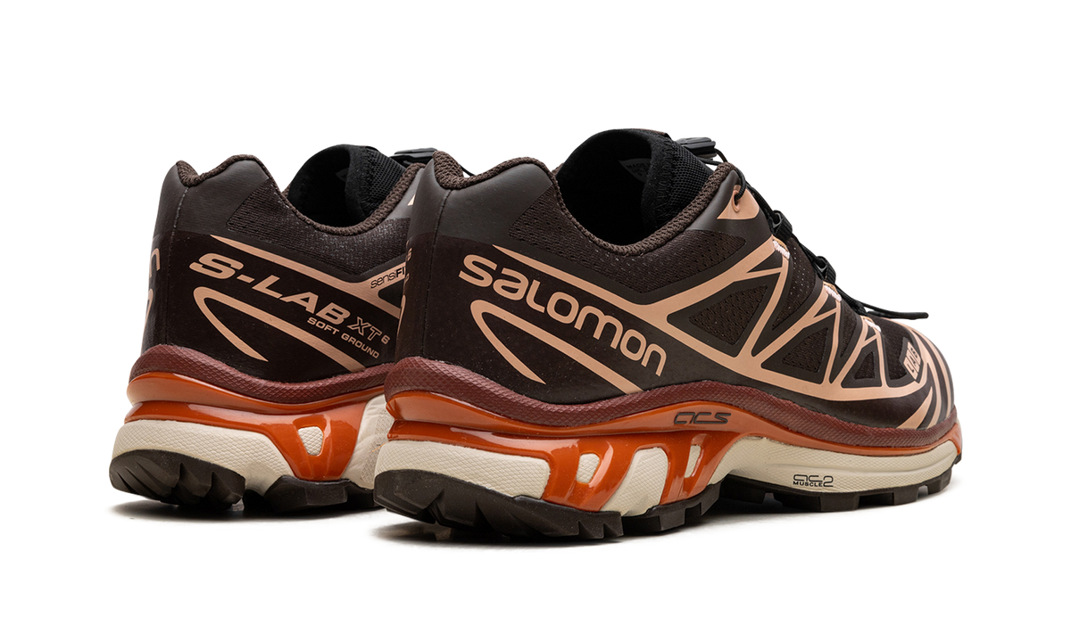 XT-6 "CHOCOLATE PEACH" L41751500
