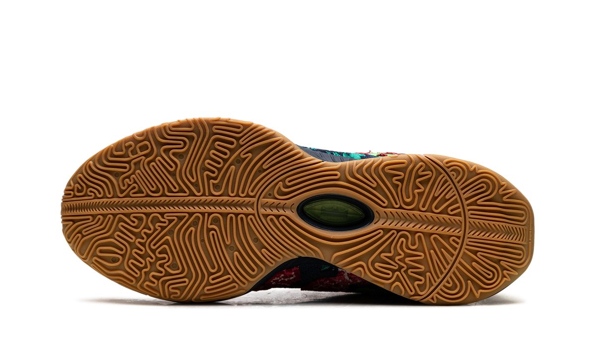LeBron 21 "Grandma's Couch" FV7276 400