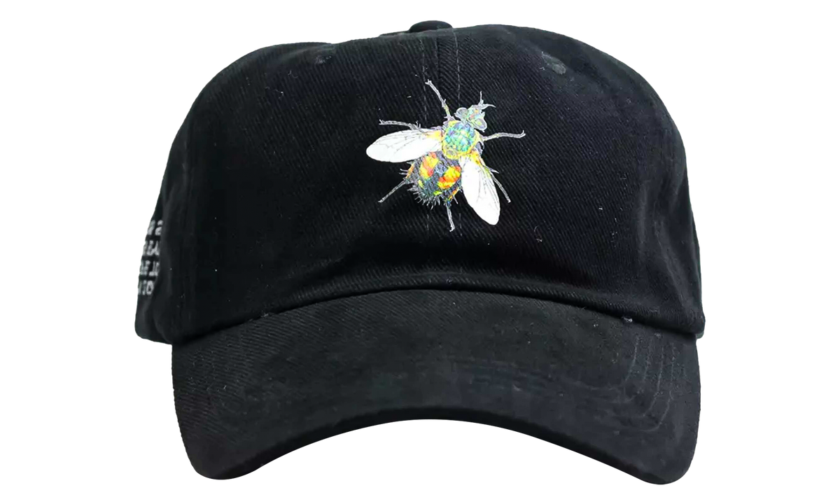Birds Eye View Europe Tour Hat "Black" TSUC128