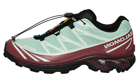 XT-6 GORE-TEX "Lichen Nocturne Clearly Aqua" L49306700