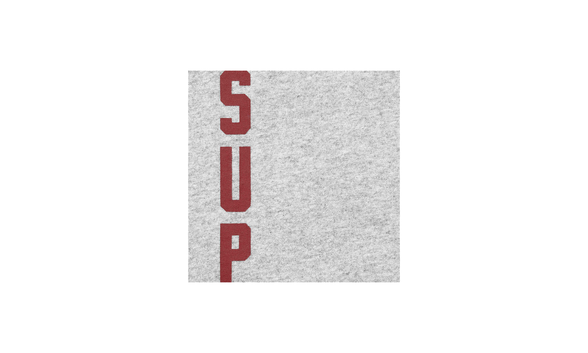 Washed Logo Hooded Sweatshirt "FW26 - Heather Grey" SU28931