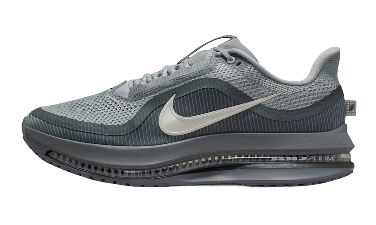 Air Zoom Pegasus Premium "Wolf Grey" HQ2592 013
