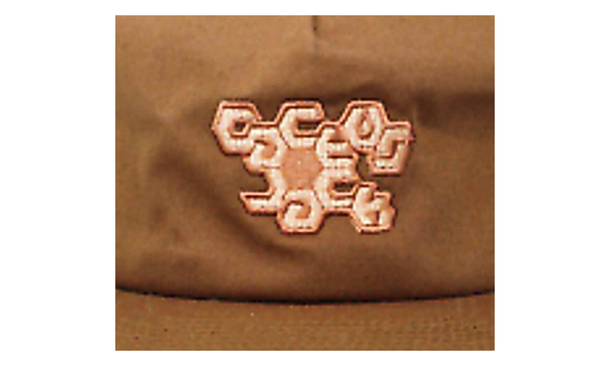Cactus Jack Reality Hat "Brown" TSUC134