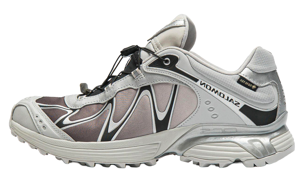 XT-Whisper GORE-TEX "Gray Violet Black Silver" L49192300