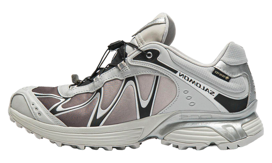 XT-Whisper GORE-TEX "Gray Violet Black Silver" L49192300