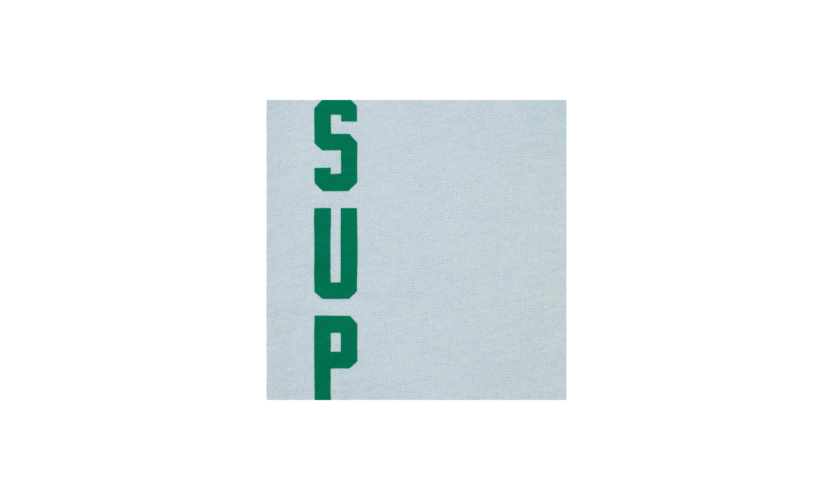 Washed Logo Hooded Sweatshirt "FW26 - Light Blue" SU28934