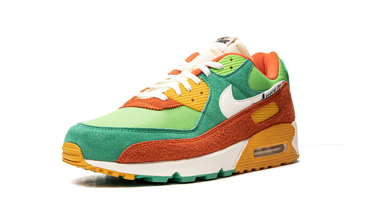 Air Max 90 SE "AMRC" DC9336 300