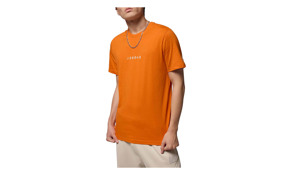 Jordan Air Cotton Graphic T-Shirt "Starfish" DM3182 805