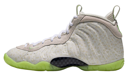 Air Foamposite One GS "Mummy" IQ7228 002
