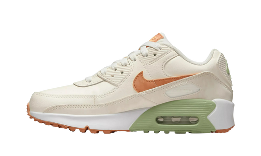 Air Max 90 "Beige" CD6864 122
