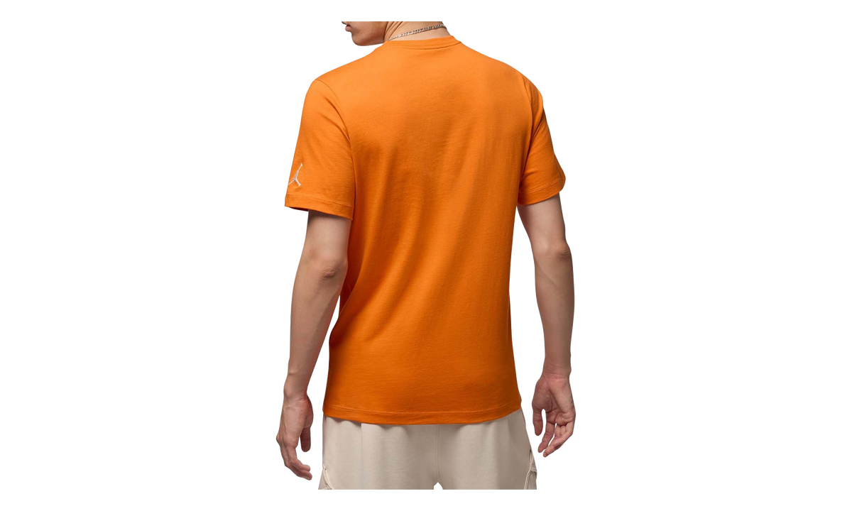 Jordan Air Cotton Graphic T-Shirt "Starfish" DM3182 805