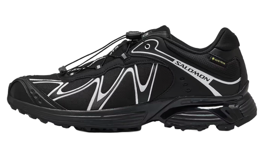 XT-Whisper GORE-TEX "Black Silver" L45397700