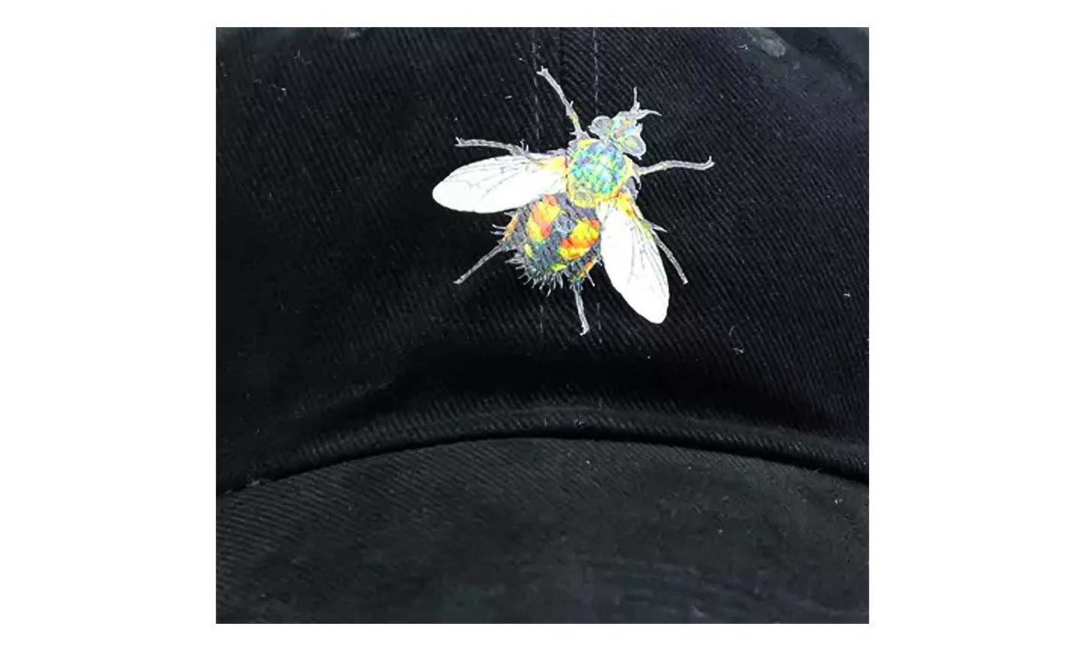 Birds Eye View Europe Tour Hat "Black" TSUC128