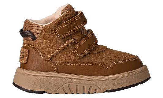 Rennie TD "Chestnut" 1171194T CHE