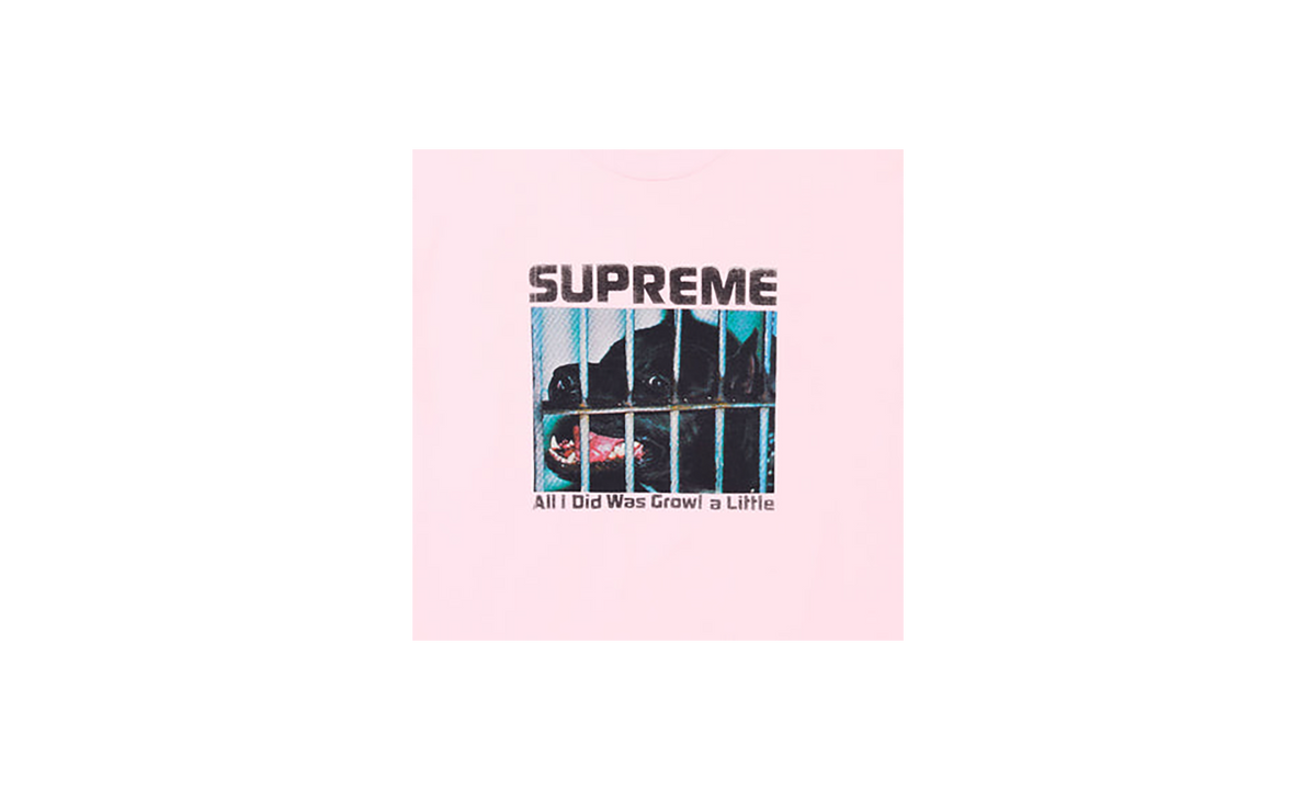 Growl Tee "FW26 - Light Pink" SU28867