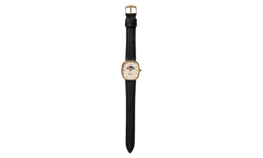 Noah Oval Moon Phase Watch "Brown / Steel" Tw2y62500jr