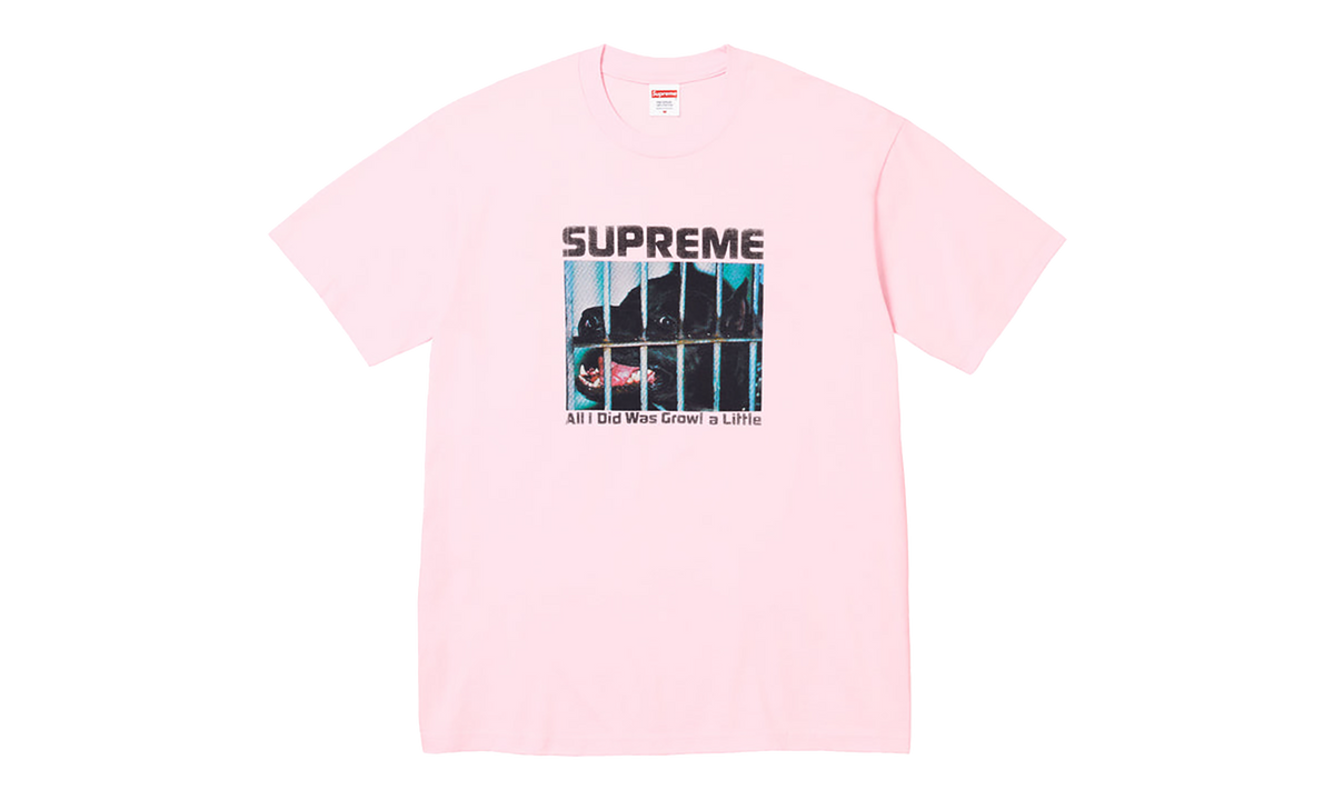 Growl Tee "FW26 - Light Pink" SU28867