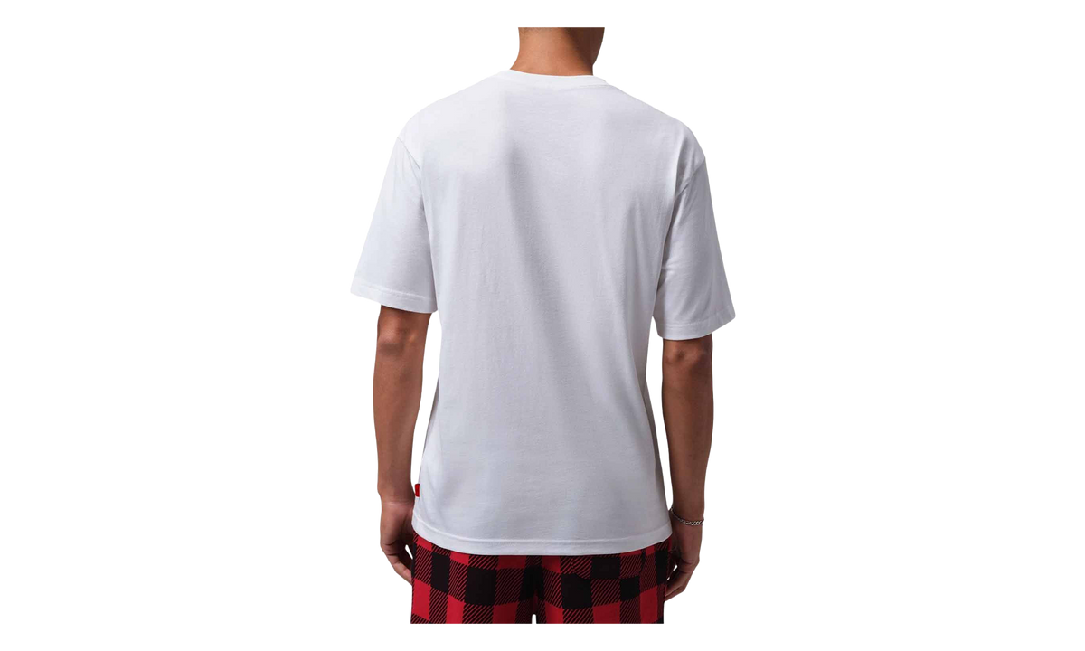 Jordan Brooklyn T-Shirt "White" IX5367 100